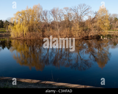 the wild island in the lake at Powderhorn Park, Minneapolis, MN, early May 2011 Stock Photo