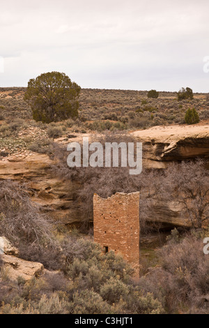 Square Tower in Little Ruin Canyon at Hovenweep National Monument in southern Utah, USA. Stock Photo