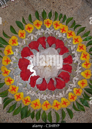 athapookalam flower design during onam festival kerala india c3hryp