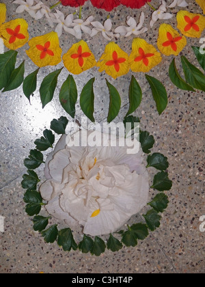 Athapookalam, Flower Design during Onam Festival, Kerala, India Stock Photo