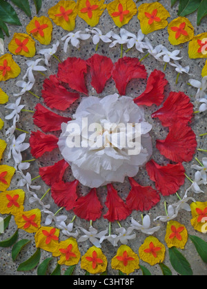 Athapookalam, Flower Design during Onam Festival, Kerala, India Stock Photo