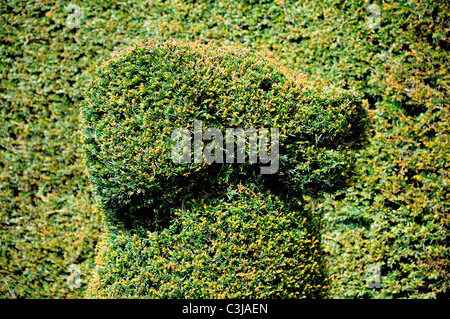 Profile of dog head created in hedge with topiary. Stock Photo