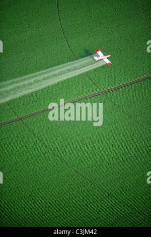 An overhead view of a crop duster spraying a green farm field. Stock Photo