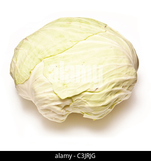 Turkish cabbage isolated on a white studio background. Stock Photo