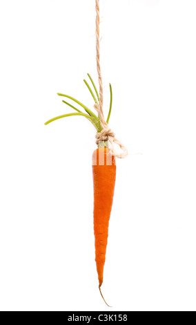 Carrot dangling on a string isolated on white background Stock Photo