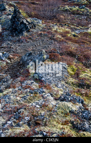 Rocks and lichen, Hraunfossar, Borgarfjörður, Iceland Stock Photo