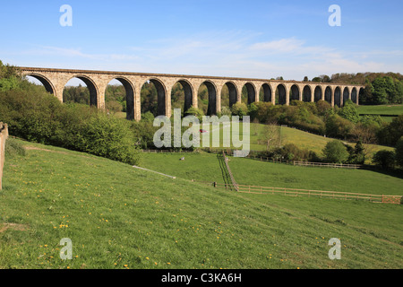 Newbridge railway viaduct  crosses the river Dee seen from Ty Mawr Country park, Cefn Mawr,  Nr Wrexham, north wales, UK. Stock Photo