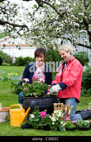Two women setting flowers in pots, Sweden. Stock Photo