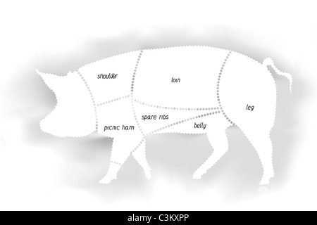 Pork Meat Diagram Stock Photo