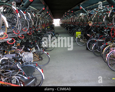 bicycles in Amsterdam Stock Photo
