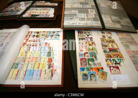 Stamps and stamp collectors in Holland Stock Photo