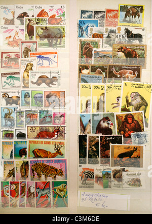 Stamps and stamp collectors in Holland Stock Photo