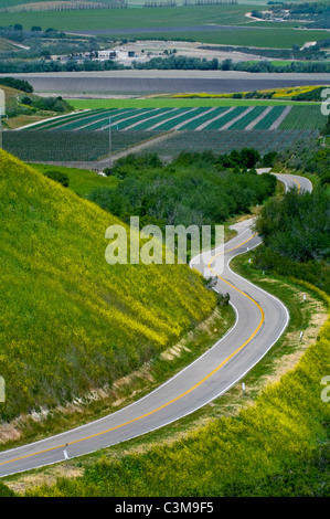 Scenic Santa Barbara, California Road Under Tree Branches. California ...