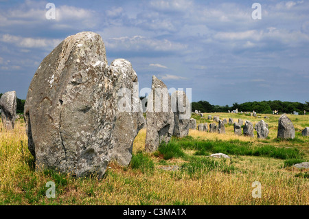 Famous standing stones at Carnac in the Morbihan department in Brittany in north-western France Stock Photo