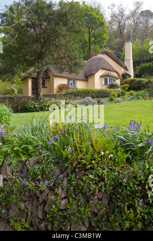 Thatched cottages in the Exmoor village of Selworthy, Somerset, England UK Stock Photo