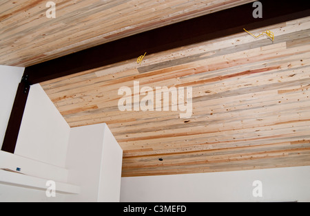 Blue stained pine, or denim pine, is used in a ceiling.  The stain is carried by mountain pine beetle when it invades a tree. Stock Photo