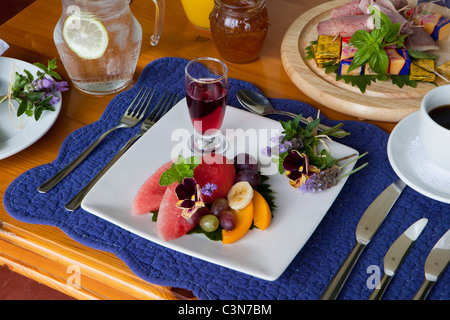 South Africa, Western Cape, Calitzdorp, Red Mountain Nature Reserve. Breakfast. Stock Photo