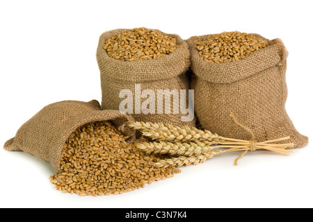 Wheat in small burlap sacks Stock Photo