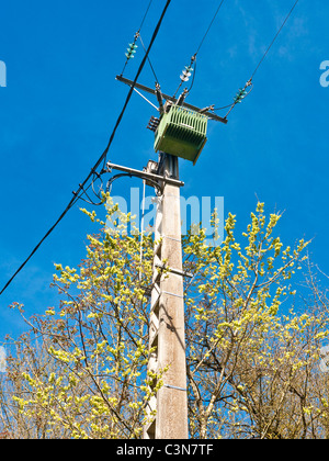 Tree branches growing near 3-phase electricity supply post and wires - France. Stock Photo