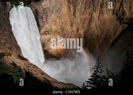 Lower Falls from Uncle Tom's Trail Yellowstone National Park Wyoming USA Stock Photo
