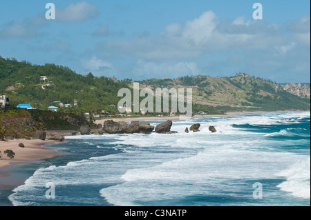 Bathsheba Beach Barbados, Caribbean. Stock Photo