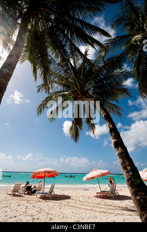 Palm tree and beach umbrellas on Carib Beach Barbados, Caribbean. Stock Photo