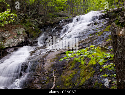 Overall Run waterfall is the highest waterfall in Virginia if its sections are taken into account. Stock Photo