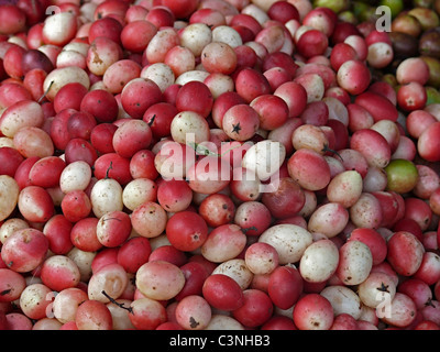 Fruits, Carissa Carandas Stock Photo