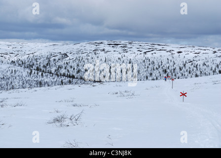 Skier in wilderness landscape, Saariselka, Inari, Finnish Lappland Stock Photo