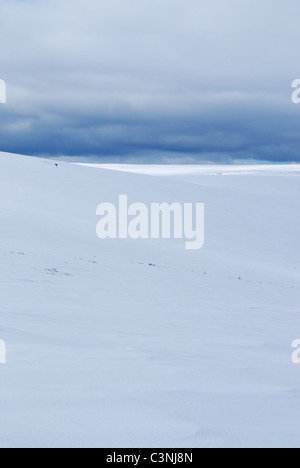 Snowy wilderness landscape, UKK national park, Saariselka, Inari, Finnish Lappland Stock Photo