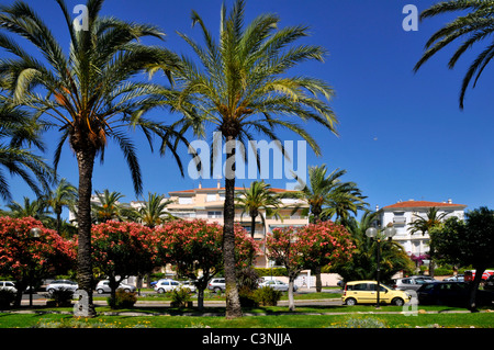 Palm trees and buildings at Cannes in southeastern France on the famous 'promenade de la Croisette' Stock Photo