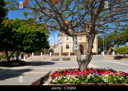 Church San Sebastian with flowers and royal poinciana (Delonix regia) on the costa Adeje of the southwest part of Tenerife in th Stock Photo
