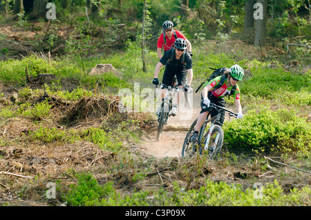 Mountain biking on the North Downs in Surrey Stock Photo