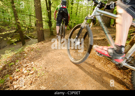 Mountain biking on the North Downs in Surrey Stock Photo