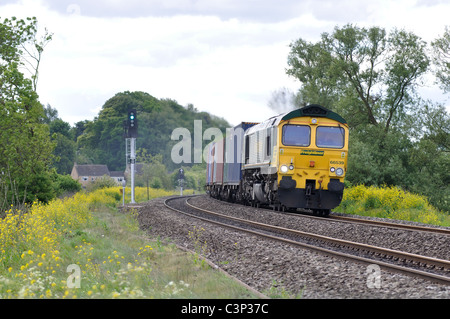 Class 66 diesel pulling freightliner train
