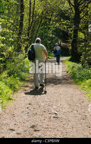 Elderly man and woman walking up a hill path in a forest Stock Photo