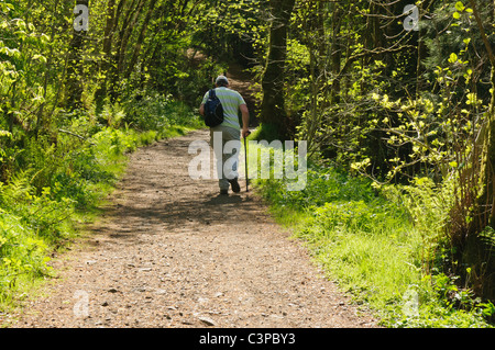 Elderly man walking up a hill path in a forest Stock Photo