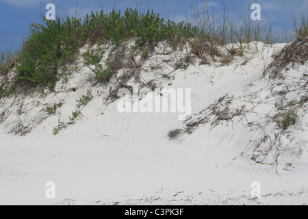 Vegetation on a sand dune Stock Photo