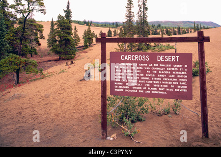 Carcross Desert, Carcross, Yukon Territory, Canada - World's Smallest Desert along South Klondike Highway 2 Stock Photo