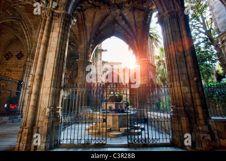 Spain, Catalonia, Barcelona, Barrio Gotico District, Plaza de la Seu, Santa Eulalia Cathedral (also called Seu) Stock Photo