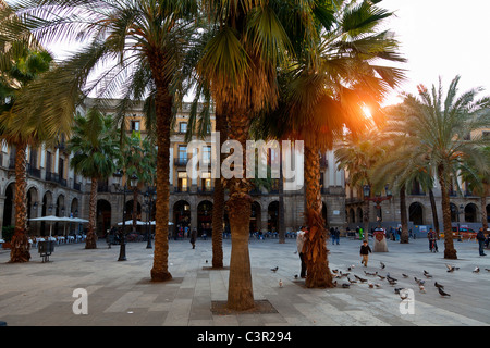 Spain, Catalonia, Barcelona, Barri Gotic district, Placa reial Stock Photo
