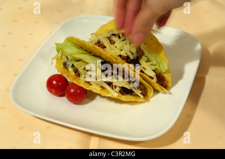 Two mexican tacos on white plate with tomatos Stock Photo