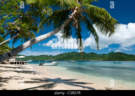 Beach and dive boats at Matangi Private Island Resort, Fiji. Stock Photo