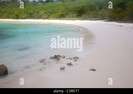 Antigua's Half Moon Bay Beach Stock Photo