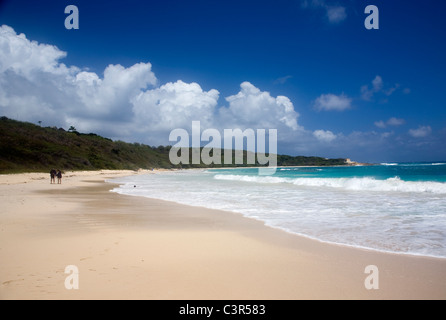 Antigua's Half Moon Bay Beach Stock Photo