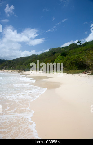 Antigua's Half Moon Bay Beach Stock Photo