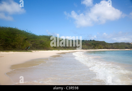 Antigua's Half Moon Bay Beach Stock Photo