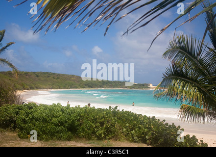 Antigua's Half Moon Bay Beach Stock Photo