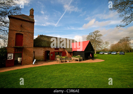 A la Ronde Exmouth Devon UK National Trust sixteen-sided house shells collection Parminter Stock Photo