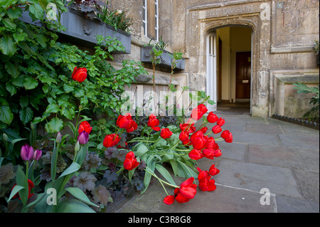 Oxford bathed in sunshine in the spring,a colourful place to visit or study